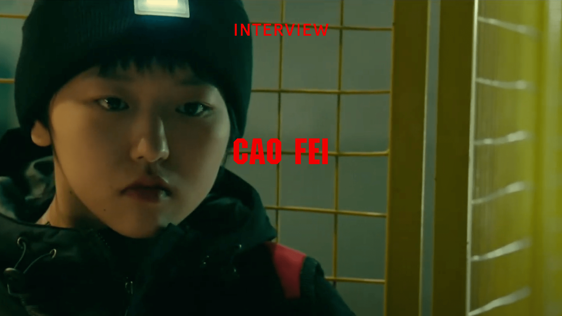 Interview Cao Fei